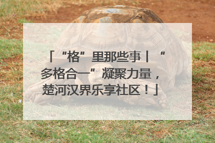 “格”里那些事丨“多格合一”凝聚力量，楚河汉界乐享社区！