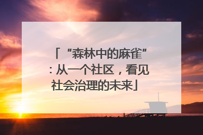 “森林中的麻雀”：从一个社区，看见社会治理的未来
