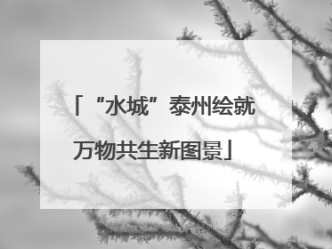 “水城”泰州绘就万物共生新图景