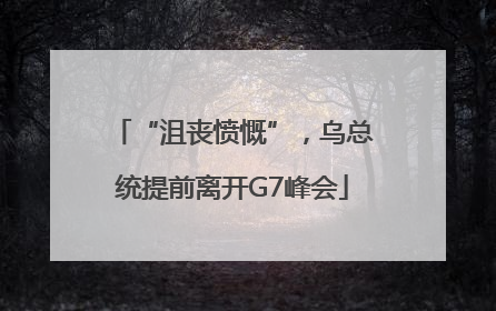 “沮丧愤慨”，乌总统提前离开G7峰会