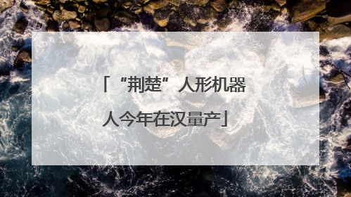 “荆楚”人形机器人今年在汉量产