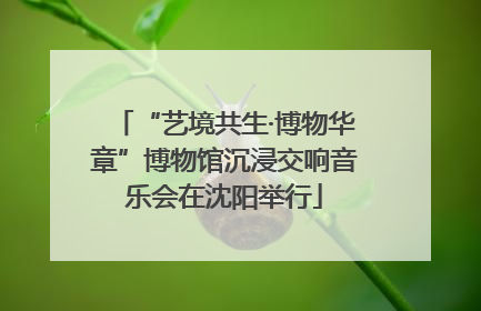 “艺境共生·博物华章”博物馆沉浸交响音乐会在沈阳举行