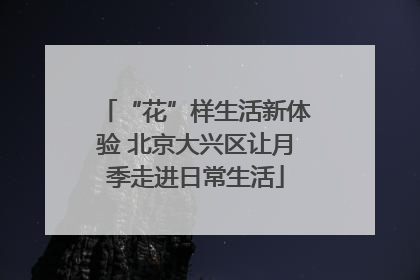 “花”样生活新体验 北京大兴区让月季走进日常生活