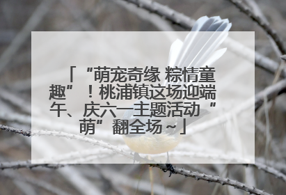 “萌宠奇缘 粽情童趣”！桃浦镇这场迎端午、庆六一主题活动“萌”翻全场～