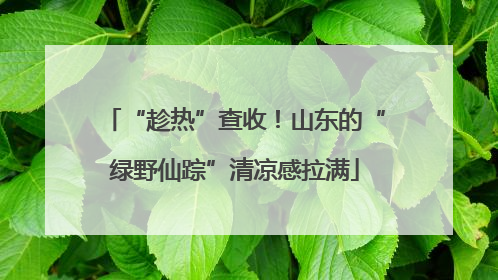 “趁热”查收！山东的“绿野仙踪”清凉感拉满