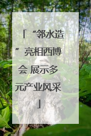 “邻水造”亮相西博会 展示多元产业风采