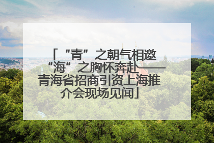 “青”之朝气相邀 “海”之胸怀奔赴——青海省招商引资上海推介会现场见闻