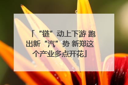 “链”动上下游 跑出新“汽”势 新郑这个产业多点开花