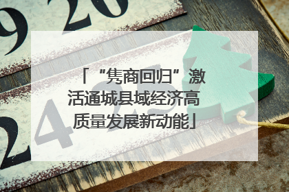 “隽商回归”激活通城县域经济高质量发展新动能