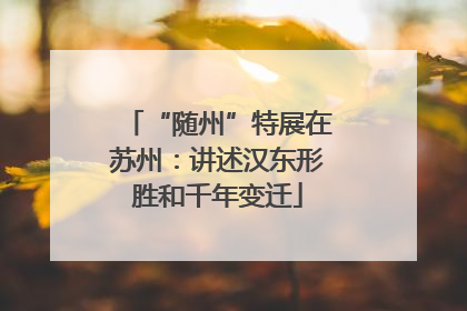 “随州”特展在苏州：讲述汉东形胜和千年变迁
