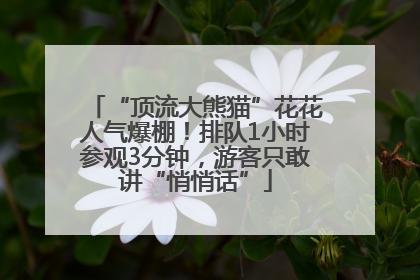 “顶流大熊猫”花花人气爆棚！排队1小时参观3分钟，游客只敢讲“悄悄话”