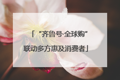“齐鲁号·全球购”联动多方惠及消费者