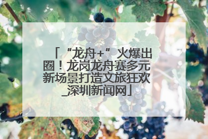 “龙舟+”火爆出圈！龙岗龙舟赛多元新场景打造文旅狂欢_深圳新闻网