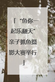 “鱼你一起乐翻天”亲子抓鱼摄影大赛举行