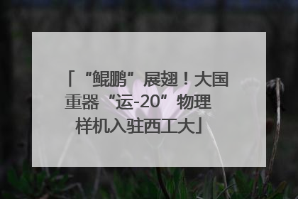 “鲲鹏”展翅！大国重器“运-20”物理样机入驻西工大