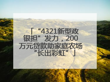“4321新型政银担”发力，200万元贷款助家庭农场“长出彩虹”