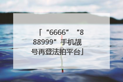 “6666”“888999”手机靓号再登法拍平台