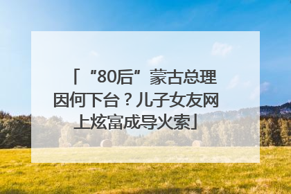 “80后”蒙古总理因何下台？儿子女友网上炫富成导火索