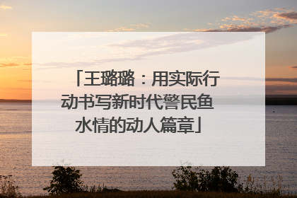 王璐璐：用实际行动书写新时代警民鱼水情的动人篇章