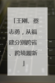 王刚、蔡志勇，从福建分别跨省、跨境履新