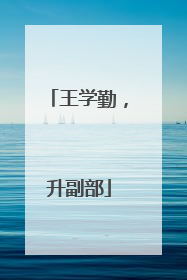 王学勤，升副部