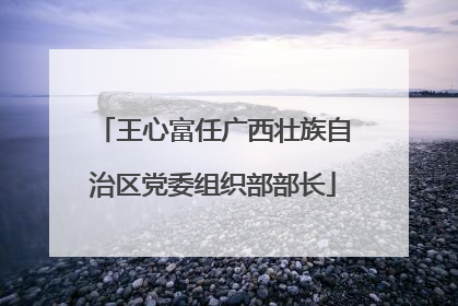 王心富任广西壮族自治区党委组织部部长
