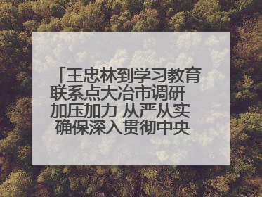 王忠林到学习教育联系点大冶市调研 加压加力 从严从实 确保深入贯彻中央八项规定精神学习教育取得实效