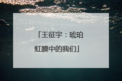 王征宇：琥珀虹膜中的我们