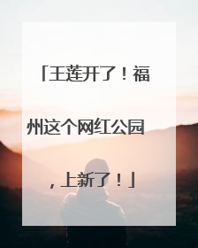 王莲开了！福州这个网红公园，上新了！