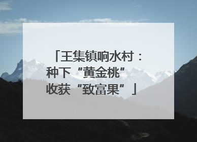 王集镇响水村：种下“黄金桃” 收获“致富果”