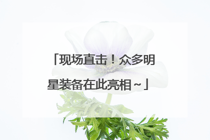 现场直击！众多明星装备在此亮相～