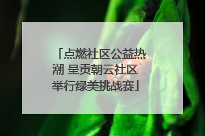 点燃社区公益热潮 呈贡朝云社区举行绿美挑战赛