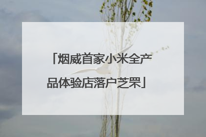 烟威首家小米全产品体验店落户芝罘