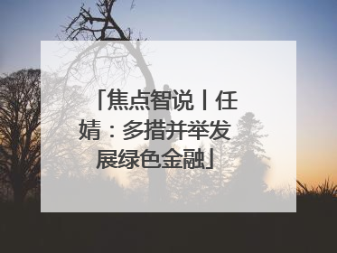 焦点智说丨任婧：多措并举发展绿色金融