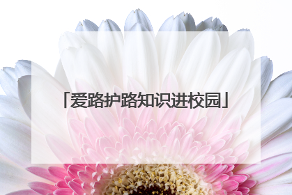 爱路护路知识进校园