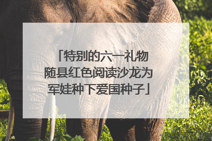 特别的六一礼物 随县红色阅读沙龙为军娃种下爱国种子