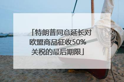 特朗普同意延长对欧盟商品征收50%关税的最后期限