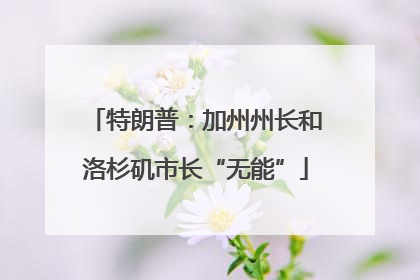 特朗普：加州州长和洛杉矶市长“无能”