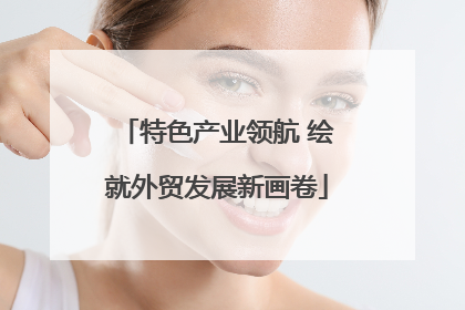 特色产业领航 绘就外贸发展新画卷