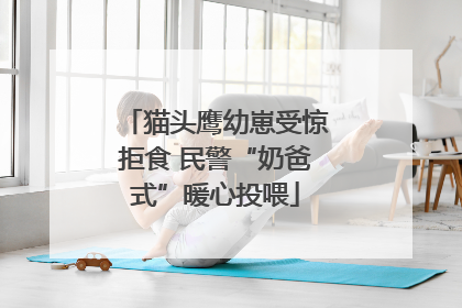猫头鹰幼崽受惊拒食 民警“奶爸式”暖心投喂