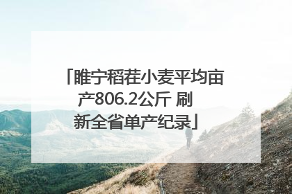 睢宁稻茬小麦平均亩产806.2公斤 刷新全省单产纪录