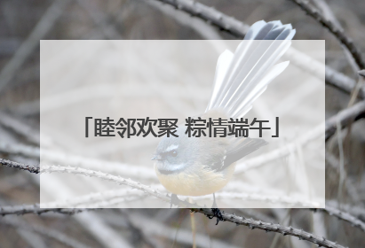 睦邻欢聚 粽情端午