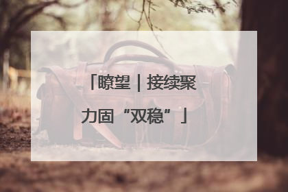 瞭望｜接续聚力固“双稳”
