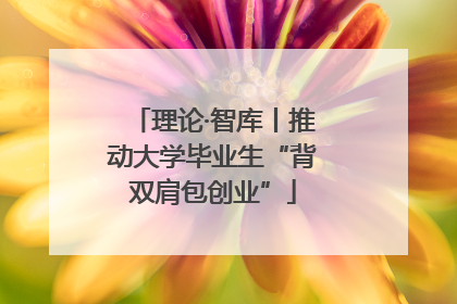 理论·智库丨推动大学毕业生“背双肩包创业”