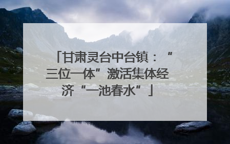 甘肃灵台中台镇：“三位一体”激活集体经济“一池春水”