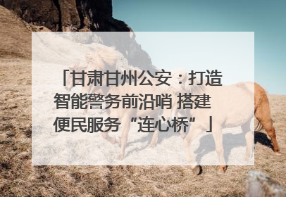 甘肃甘州公安：打造智能警务前沿哨 搭建便民服务“连心桥”