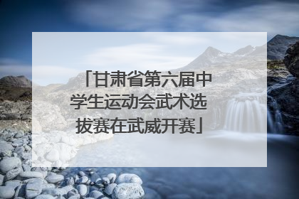 甘肃省第六届中学生运动会武术选拔赛在武威开赛