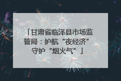 甘肃省临泽县市场监管局：护航“夜经济” 守护“烟火气”