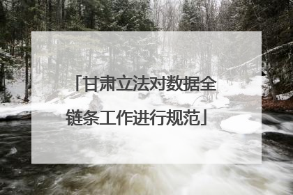 甘肃立法对数据全链条工作进行规范