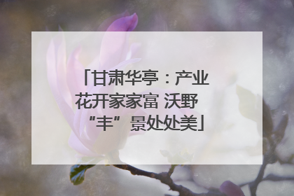 甘肃华亭：产业花开家家富 沃野“丰”景处处美